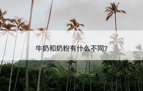 牛奶和奶粉有什么不同？