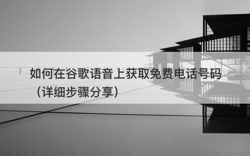 如何在谷歌语音上获取免费电话号码（详细步骤分享）