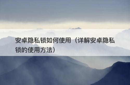 安卓隐私锁如何使用（详解安卓隐私锁的使用方法）