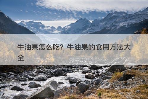 牛油果怎么吃？牛油果的食用方法大全