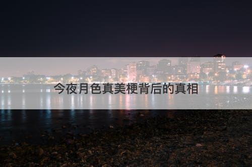 今夜月色真美梗背后的真相