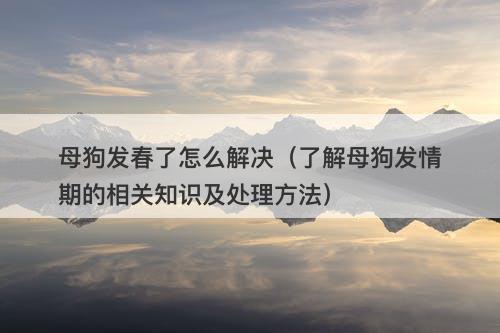 母狗发春了怎么解决（了解母狗发情期的相关知识及处理方法）