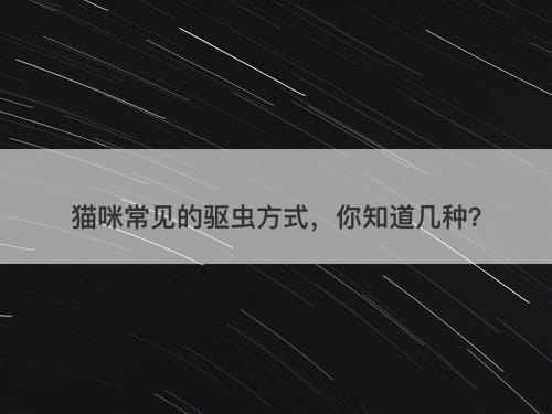 猫咪常见的驱虫方式，你知道几种？