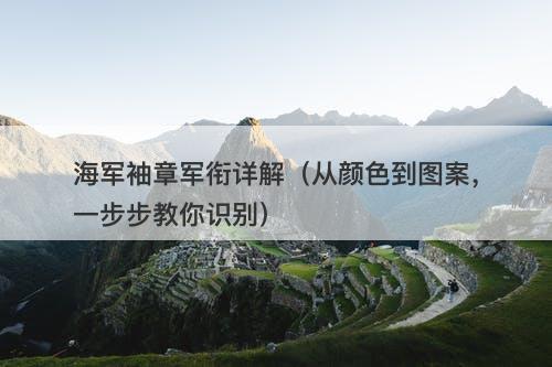 海军袖章军衔详解（从颜色到图案，一步步教你识别）