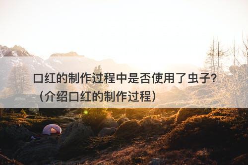 口红的制作过程中是否使用了虫子？（介绍口红的制作过程）
