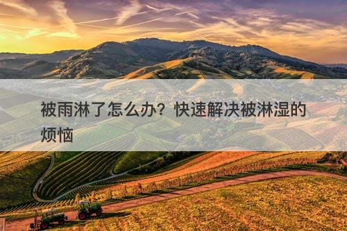 被雨淋了怎么办？快速解决被淋湿的烦恼