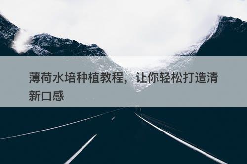 薄荷水培种植教程，让你轻松打造清新口感