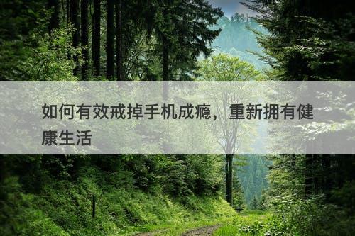 如何有效戒掉手机成瘾，重新拥有健康生活