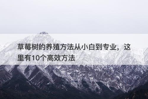 草莓树的养殖方法从小白到专业，这里有10个高效方法