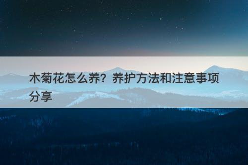 木菊花怎么养？养护方法和注意事项分享