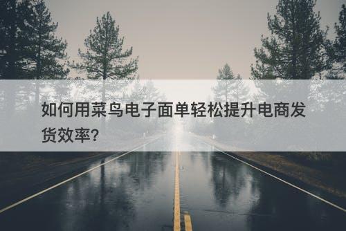 如何用菜鸟电子面单轻松提升电商发货效率？