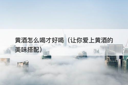 黄酒怎么喝才好喝（让你爱上黄酒的美味搭配）
