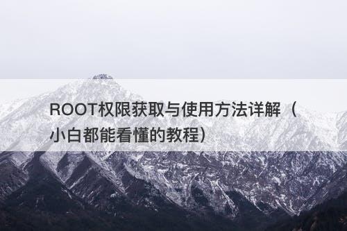 ROOT权限获取与使用方法详解（小白都能看懂的教程）