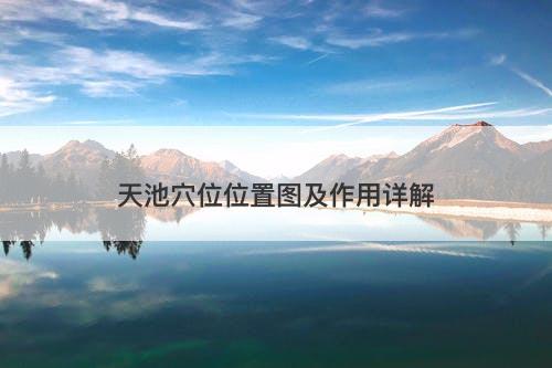 天池穴位位置图及作用详解