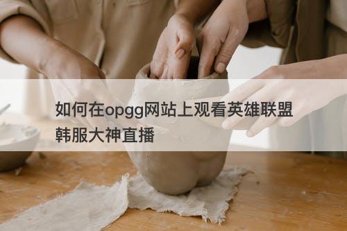 如何在opgg网站上观看英雄联盟韩服大神直播