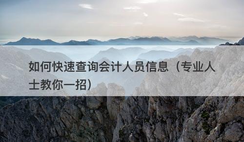 如何快速查询会计人员信息（专业人士教你一招）
