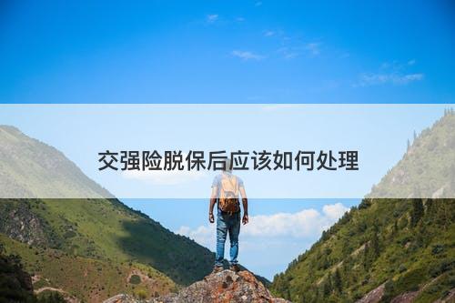 交强险脱保后应该如何处理
