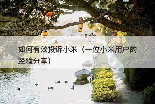 如何有效投诉小米（一位小米用户的经验分享）