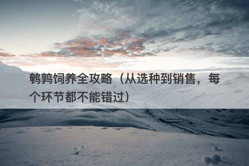 鹌鹑饲养全攻略（从选种到销售，每个环节都不能错过）