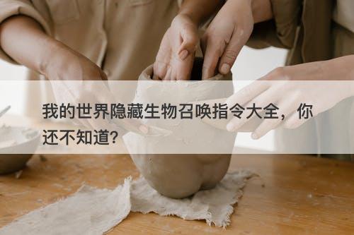 我的世界隐藏生物召唤指令大全，你还不知道？