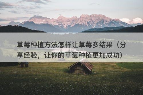 草莓种植方法怎样让草莓多结果（分享经验，让你的草莓种植更加成功）