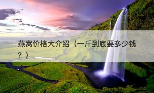 燕窝价格大介绍（一斤到底要多少钱？）-图1