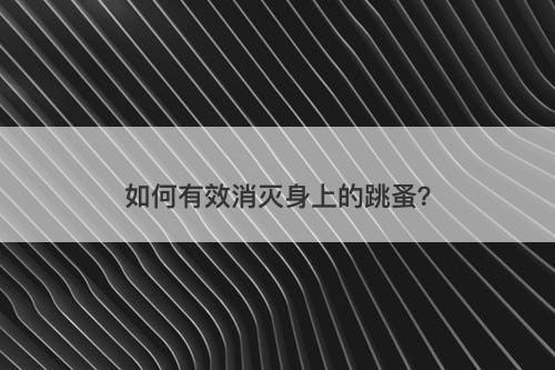 如何有效消灭身上的跳蚤？