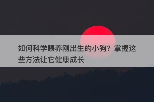 如何科学喂养刚出生的小狗？掌握这些方法让它健康成长