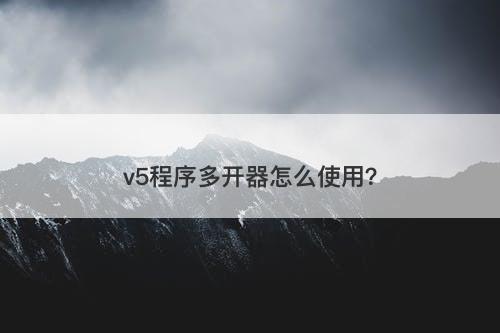 v5程序多开器怎么使用？