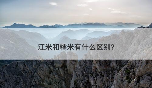 江米和糯米有什么区别？
