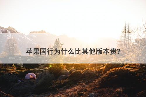 苹果国行为什么比其他版本贵？
