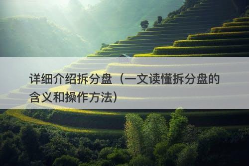 详细介绍拆分盘（一文读懂拆分盘的含义和操作方法）