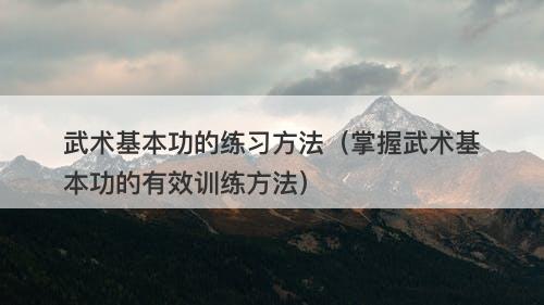 武术基本功的练习方法（掌握武术基本功的有效训练方法）
