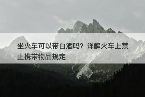 坐火车可以带白酒吗？详解火车上禁止携带物品规定