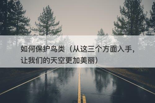 如何保护鸟类（从这三个方面入手，让我们的天空更加美丽）-图1