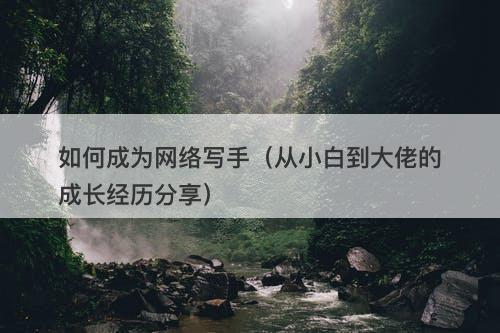 如何成为网络写手（从小白到大佬的成长经历分享）