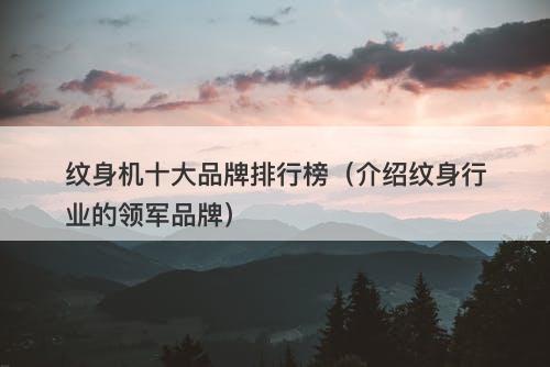 纹身机十大品牌排行榜(介绍纹身行业的领军品牌)-图1 纹身机十大品牌排行榜(介绍纹身行业的领军品牌)-图1