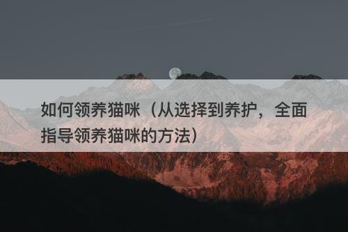如何领养猫咪（从选择到养护，全面指导领养猫咪的方法）-图1