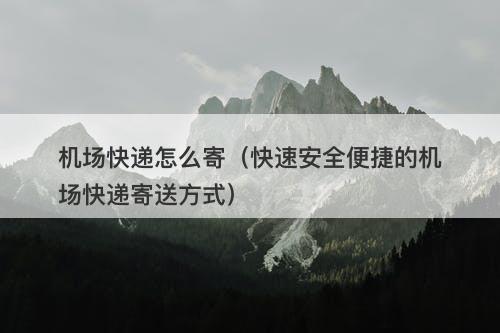 机场快递怎么寄（快速安全便捷的机场快递寄送方式）-图1