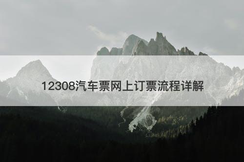 12308汽车票网上订票流程详解