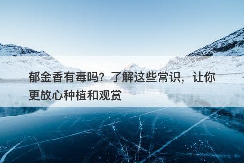 郁金香有毒吗？了解这些常识，让你更放心种植和观赏