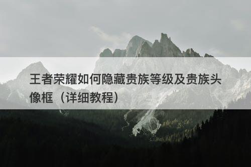 王者荣耀如何隐藏贵族等级及贵族头像框（详细教程）-图1