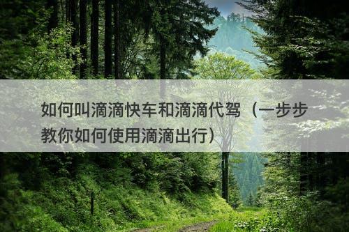 如何叫滴滴快车和滴滴代驾（一步步教你如何使用滴滴出行）-图1