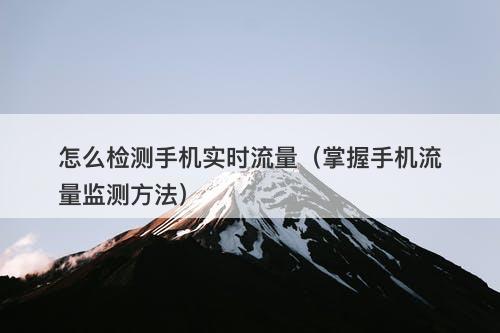 怎么检测手机实时流量（掌握手机流量监测方法）