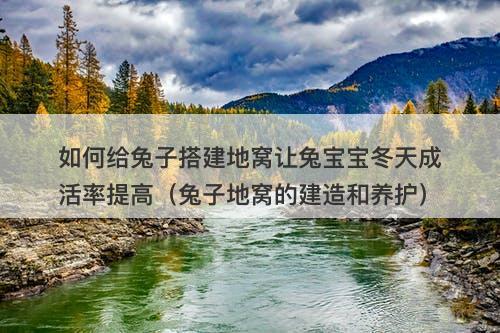 如何给兔子搭建地窝让兔宝宝冬天成活率提高(兔子地窝的建造和养护)-图1 如何给兔子搭建地窝让兔宝宝冬天成活率提高(兔子地窝的建造和养护)-图1