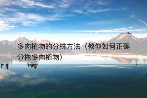 多肉植物的分株方法（教你如何正确分株多肉植物）-图1