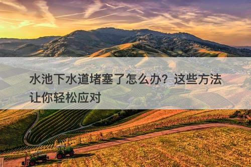 水池下水道堵塞了怎么办？这些方法让你轻松应对-图1