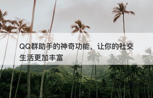 QQ群助手的神奇功能，让你的社交生活更加丰富