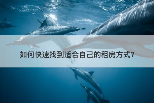 如何快速找到适合自己的租房方式？