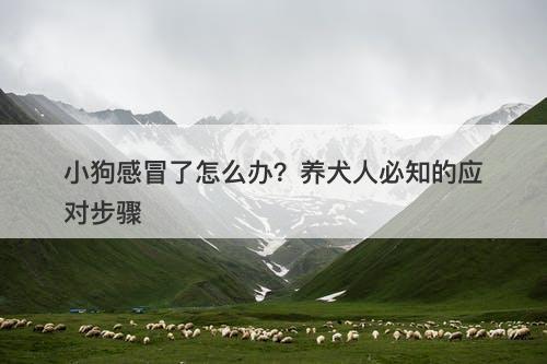 小狗感冒了怎么办？养犬人必知的应对步骤-图1